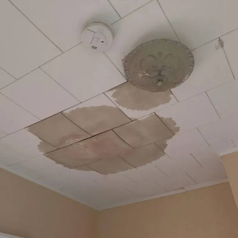 Ceiling Water Damage Repair in Pole Ojea, PR