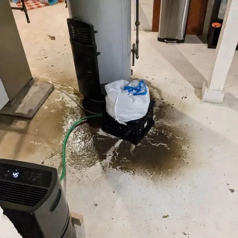 Sewage Backup Cleanup Service in Pole Ojea, PR